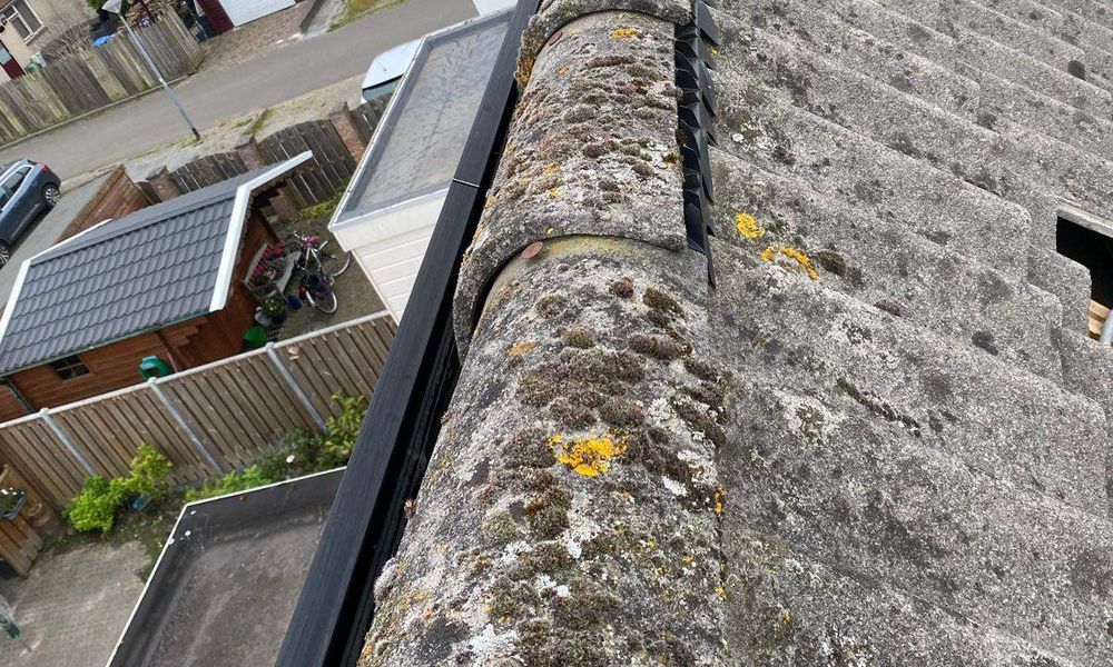 WhatsApp Image 2025-01-06 at 15.13.05 (2)